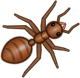 Ant, Lasius niger, as drawn in buggs.io