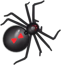 Black Widow, Latrodectus mactans, as drawn in buggs.io