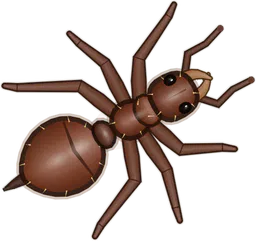 Bullet Ant, Paraponera clavata, as drawn in buggs.io