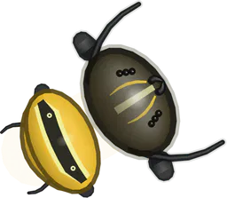 Caterpillar, Danaus plexippus (larva), as drawn in buggs.io