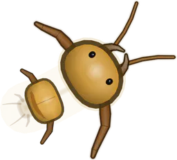 Centipede, Scolopendra subspinipes, as drawn in buggs.io