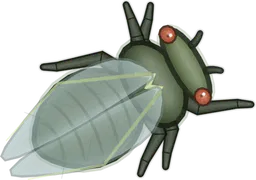 Cicada, Magicicada septendecim, as drawn in buggs.io