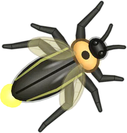 Firefly, Photinus pyralis, as drawn in buggs.io