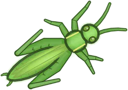 Grasshopper, Schistocerca americana, as drawn in buggs.io