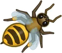 Honeybee, Apis mellifera, as drawn in buggs.io