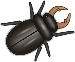 Stag Beetle, Lucanus cervus, as drawn in buggs.io