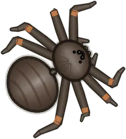 Tarantula, Theraphosa blondi, as drawn in buggs.io