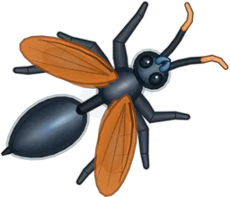 Tarantula Hawk, Pepsis grossa, as drawn in buggs.io