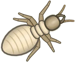 Termite, Macrotermes bellicosus, as drawn in buggs.io