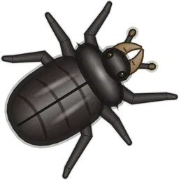 Titan Beetle, Titanus giganteus, as drawn in buggs.io