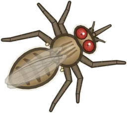 Tsetse Fly, Glossina morsitans, as drawn in buggs.io