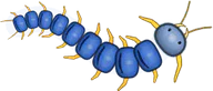 Blue Ring Centipede, a buggs.io skin for the Centipede
