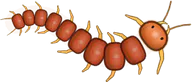 Ember Centipede, a buggs.io skin for the Centipede