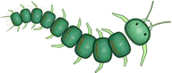 Jade Centipede, a buggs.io skin for the Centipede
