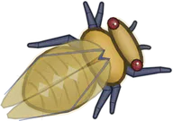 Champagne Cicada, a buggs.io skin for the Cicada