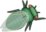 Jade Cicada, a buggs.io skin for the Cicada
