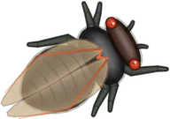 Periodical Cicada, a buggs.io skin for the Cicada