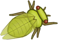 Yellow Monday Cicada, a buggs.io skin for the Cicada