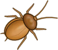 Amber Cockroach, a buggs.io skin for the Cockroach
