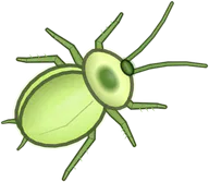 Cuban Cockroach, a buggs.io skin for the Cockroach