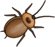 Madagascar Cockroach, a buggs.io skin for the Cockroach