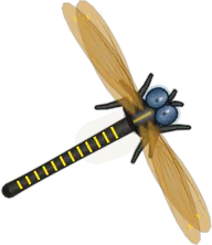 Golden-ringed Dragonfly, a buggs.io skin for the Dragonfly
