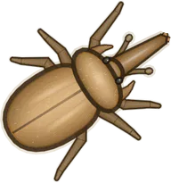 Bronze Elephant Beetle, a buggs.io skin for the Elephant Beetle
