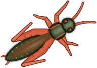 Painted Grasshopper, a buggs.io skin for the Grasshopper