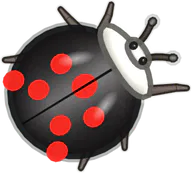 Harlequin Ladybird Beetle, a buggs.io skin for the Ladybird Beetle