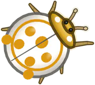 Pearl Ladybird Beetle, a buggs.io skin for the Ladybird Beetle