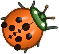 Pumpkin Ladybird, a buggs.io skin for the Ladybird Beetle