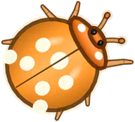 Tangerine Ladybird Beetle, a buggs.io skin for the Ladybird Beetle