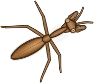 Deadleaf Praying Mantis, a buggs.io skin for the Praying Mantis