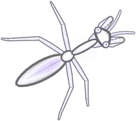 Ghost Mantis, a buggs.io skin for the Praying Mantis
