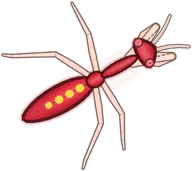 Nutcracker Mantis, a buggs.io skin for the Praying Mantis