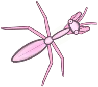 Orchid Praying Mantis, a buggs.io skin for the Praying Mantis