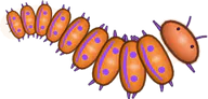 Trick-or-Treat Millipede, a buggs.io skin for the Millipede