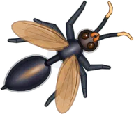 Ember Tarantula Hawk, a buggs.io skin for the Tarantula Hawk