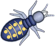 Confetti Termite, a buggs.io skin for the Termite
