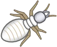 Ghost Termite, a buggs.io skin for the Termite