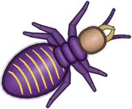 Queen Termite, a buggs.io skin for the Termite