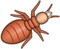 Red Clay Termite, a buggs.io skin for the Termite
