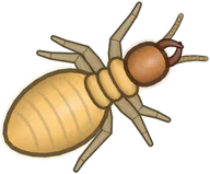 Soldier Termite, a buggs.io skin for the Termite