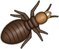 Swarmer Termite, a buggs.io skin for the Termite