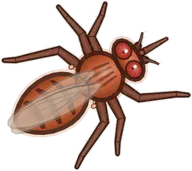 Rust Tsetse, a buggs.io skin for the Tsetse Fly