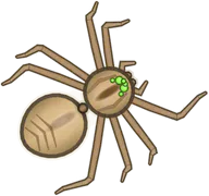 Desert Wolf Spider, a buggs.io skin for the Wolf Spider