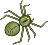Pirate Wolf Spider, a buggs.io skin for the Wolf Spider