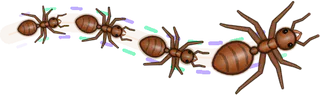Borealis, a buggs.io trail, behind an Ant