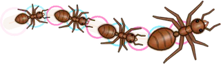 Bubbles, a buggs.io trail, behind an Ant