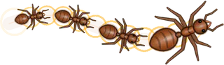 Chirp, a buggs.io trail, behind an Ant